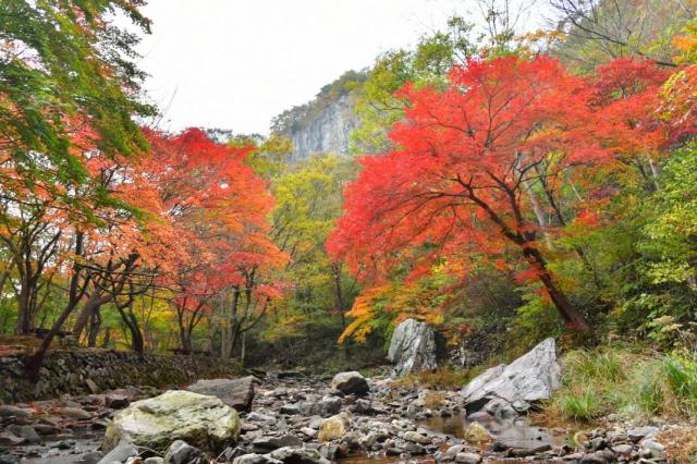 사진순창군