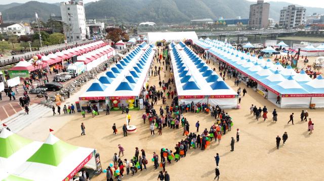 청송사과축제 장면 사진청송군