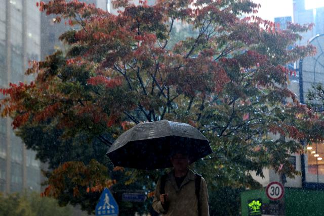 중부지방에 가을비가 예보된 지난달19일 오전 서울 광화문광장에서 시민들이 우산을 쓴 채 걸어가고 있다 사진연합뉴스