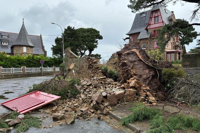 폭풍 시아란이 강타한 프랑스 서북부 브르타뉴에서 나무가 쓰러져 있다 사진로이터 연합뉴스