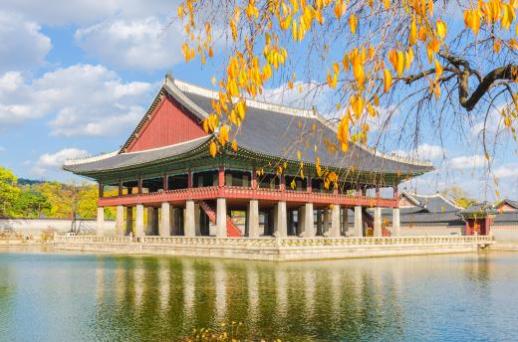 【亚洲人之声】秋日在美丽的景福宫散步