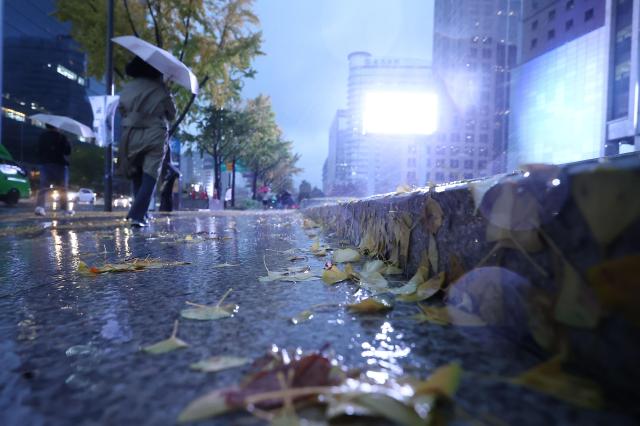 6일 오전 서울시청 인근에서 시민들이 강한 바람과 함께 쏟아지는 빗속을 걷고 있다 사진연합뉴스