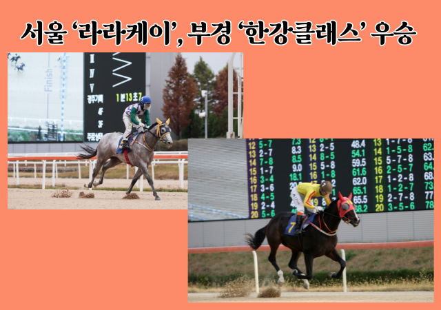 렛츠런파크 쥬버나일 2관문 경기에서 서울에서는 ‘라라케이’가 부경에서는 ‘한강클래스’가 각각 우승을 차지했다 사진렛츠런파크 부산경남
