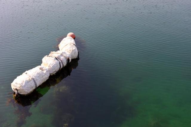 해양 미세플라스틱 발생 원인 중 하나로 지적된 스티로폼 부표 사진게티이미지뱅크