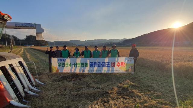 무안군4-H연합회회장 양현승는 지난 11월 3일 몽탄면의 4-H 과제답에서 공동 경작한 벼를 수확했다사진무안군 제공