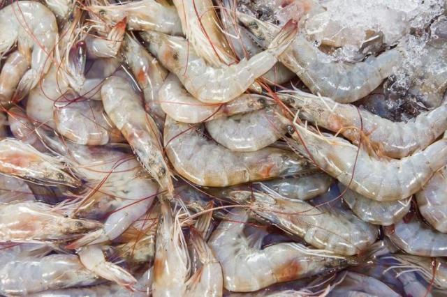 CJ Feed & Care to develop AI-based monitoring technology for shrimp farms