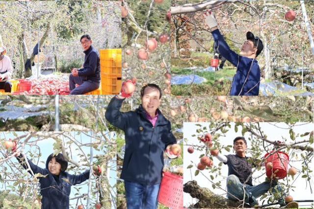 청도군의회 다문화 농가 일손돕기 모습사진청도군