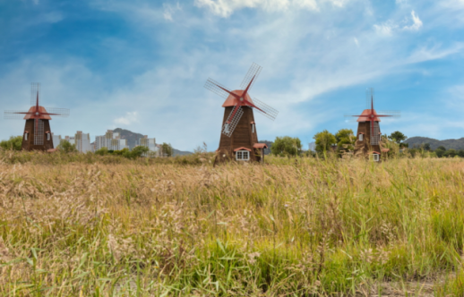 쾌적한 환경이 최고···공원형 아파트 갈수록 인기몰이