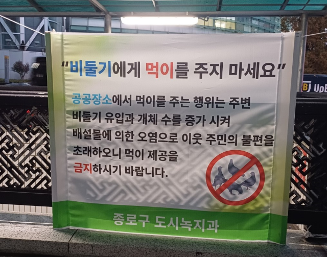 비둘기가 밀집하는 서울 종로구 도로에 비둘기들에게 먹이를 주지 말라는 안내 현수막이 부착돼 있다 사진  김다인 기자