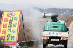 S. Korea launches special quarantine programs for egg farms to prevent spread of avian influenza