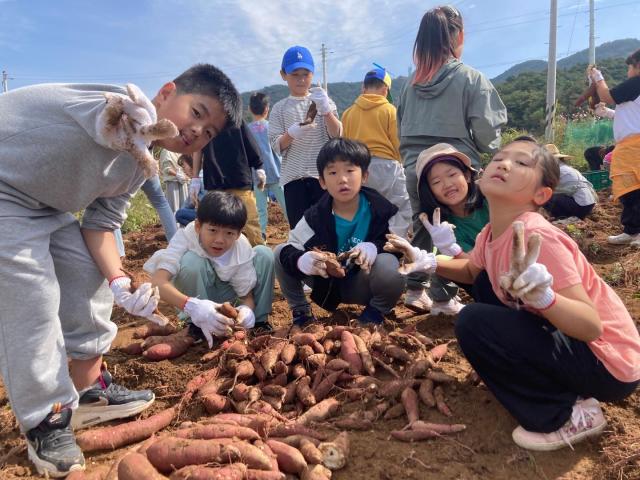 사진익산시