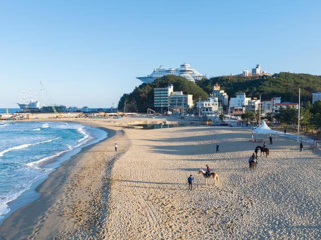 사진강원관광재단