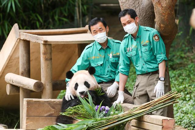 中央广播电视总台与爱宝乐园启动旅韩大熊猫“宝家族”影像合作计划
