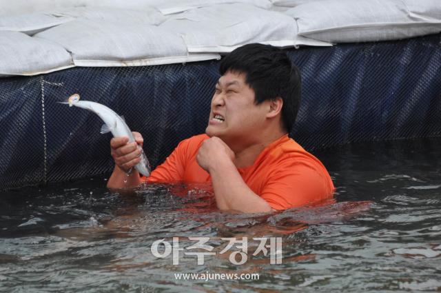 2020년 1월에 열린 화천산천어축제장 한 참가자가 산천어 맨손잡기체험에서 산천어를 잡고 있다사진박종석 기자