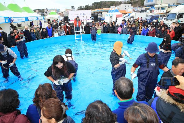 죽변항 수산물축제 장면 사진울진군