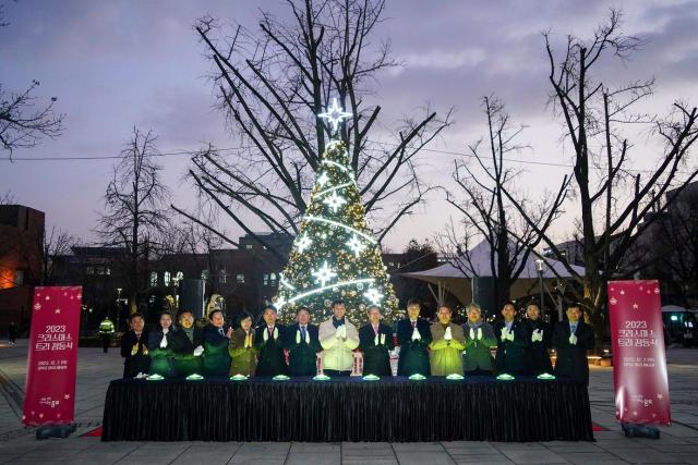 서울 종로구 마로니에 공원에 성탄절 트리가 설치됐다 사진종로구