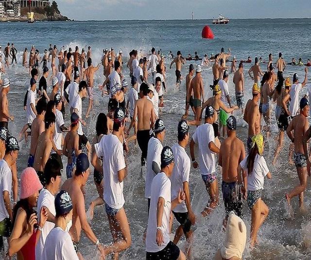 16일 부산 해운대해수욕장에서 열린 해운대 북극곰 축제에서 참가자들이 겨울 바다에 뛰어들고 있다 사진연합뉴스