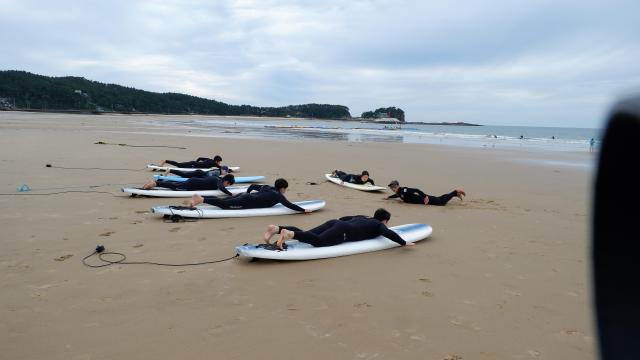 충남 워케이션 참가자들이 태안 만리포해수욕장에서 서핑체험활동을 하고 있다사진충남도