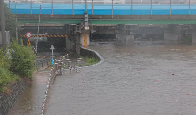 오후 들어 갑작스레 서울지역에 폭우가 내린 서울 은평구 불광천 수위가 10m까지 상승 출입이 통제되고 있다유대길 기자 dbeorlf123ajunewscom