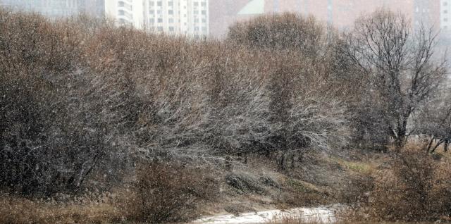 눈 내리는 한강
    서울연합뉴스 배재만 기자  19일 오후 서울 마포구 한강 변에 눈이 내려 밤섬을 하얗게 덮고 있다 20231219
    scoopynacokr2023-12-19 152456
저작권자 ⓒ 1980-2023 ㈜연합뉴스 무단 전재 재배포 금지저작권자 ⓒ 1980-2023 ㈜연합뉴스 무단 전재 재배포 금지