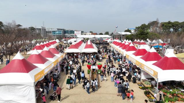 인산인해 이룬 2023 논산딸기축제장 모습사진논산시