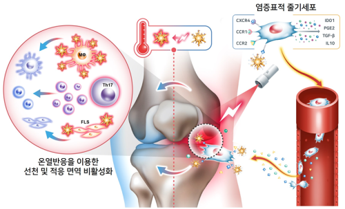 사진가천대