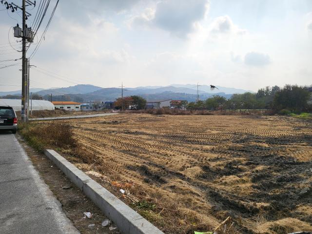 용인시 처인구의 한 토지 사진신동근 기자