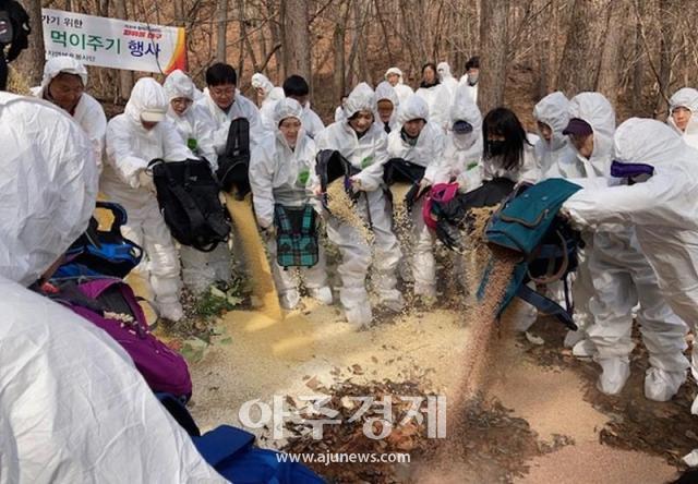 대구광역시는 팔공산의 대구교육팔공산수련원 뒷산 생태통로 등 일원에서 야생동물 먹이주기 행사를 시행한다 사진대구시