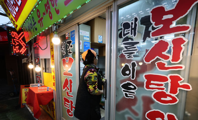 韩国《禁食狗肉法》3年过渡期 狗肉产业链人士哀声连连