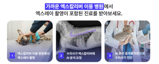 [장하은의 하이TEL] 댕댕아 너 T야?⋯이통사 반려동물 케어 3사3색
