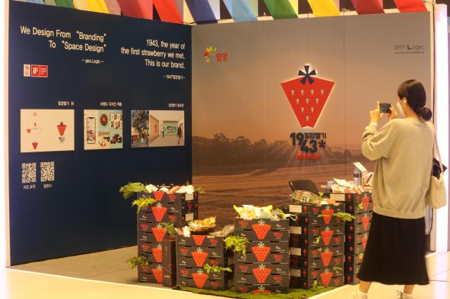 지난해 11월 코엑스에서 열린 디자인코리아 2023에서 밀양딸기 1943 BI가 홍보되고 있다사진밀양시