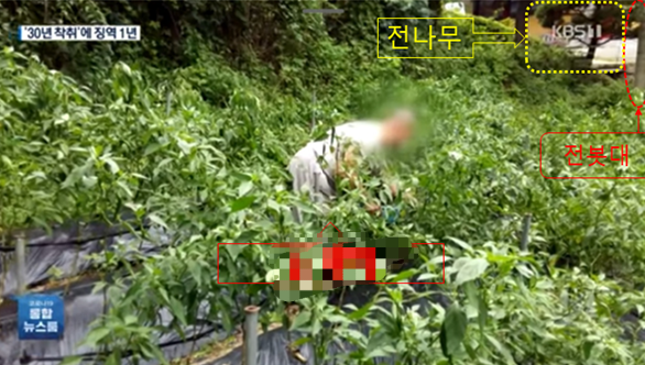 A씨가 텃밭에서 농사일을 하는 모습으로 보도된 KBS 방송 사진 사진B씨 측 상고이유서