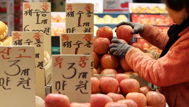 21일 서울 시내 한 재래시장에서 상인이 과일을 정리하고 있다 사진연합뉴스