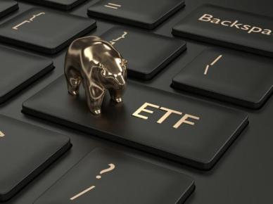 [홍승우의 꿈꾸는 개미] 주식 모르면 ETF 하라던데… ETF 도전해볼까