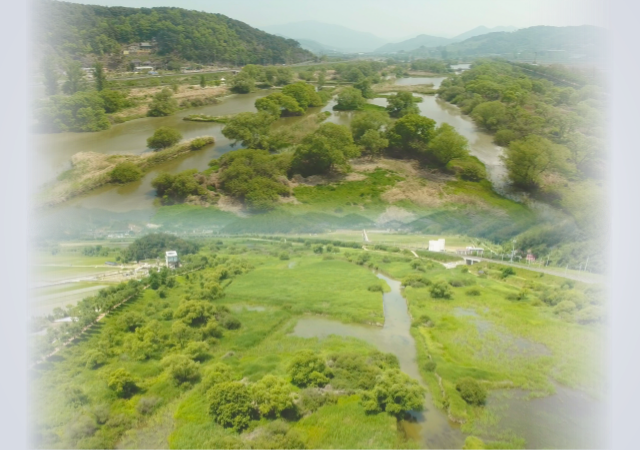 경남 김해시는 화포천 유역 비점오염원 관리지역 관리대책 시행계획을 수립한다 사진김해시