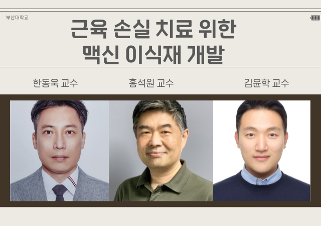 이번 연구는 부산대 인지메카트로닉스공학과 강문성 박사과정생 의과대학 의학연구원 유연이 박사연수연구원 인지메카트로닉스공학과 박로운 박사과정생이 공동 제1저자 한동욱 교수 홍석원 교수 김윤학 교수가 공동 교신저자로 수행했다 사진부산대학교

