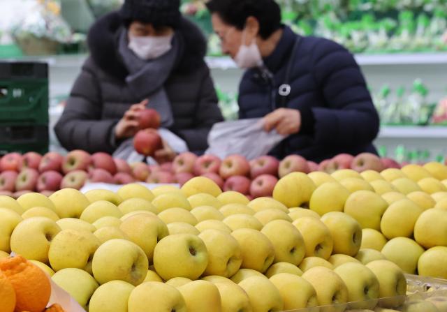 서울 한 대형마트의 사과 매대 사진연합뉴스
