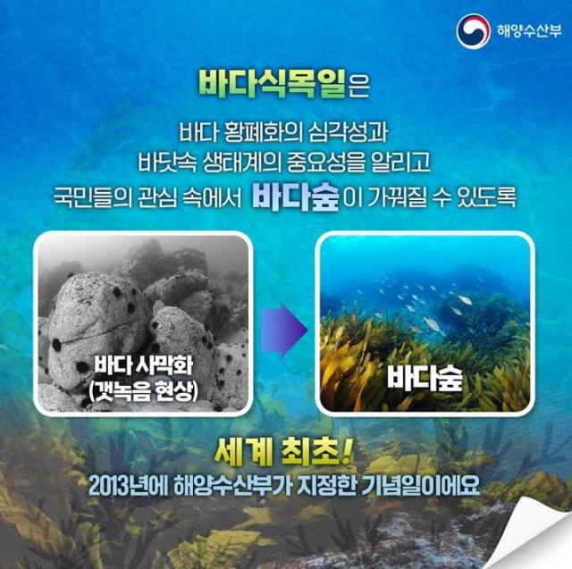 바다식목일 홍보물 사진해양수산부