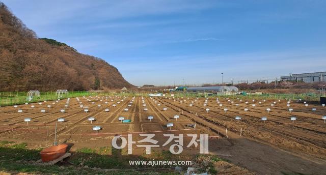 대구시 수성구는 공영도시농업농장의 분양자를 2월 1일부터 15일까지 모집한다 사진대구수성구