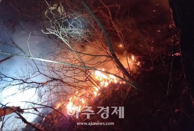 대구시 산불방지대책본부는 1월 31일 18시 36분경 남구 대명동 산224번지에서 발생한 산불에 대해 잔불 진화까지 완료했다 사진대구소방