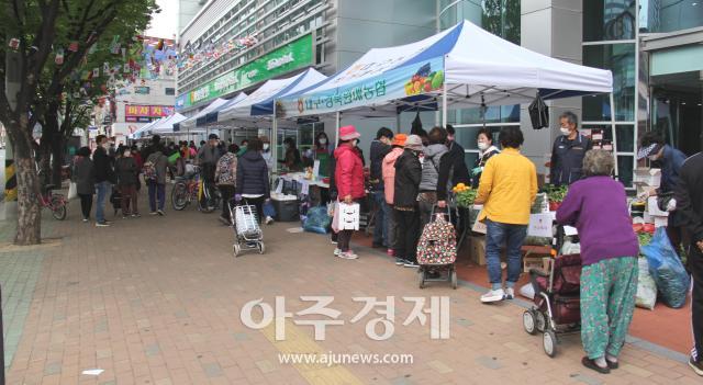 대구농협은 설 명절을 맞아 농축산물 소비촉진 및 소비자 물가안정을 위한 직거래장터를 연다 사진대구농협