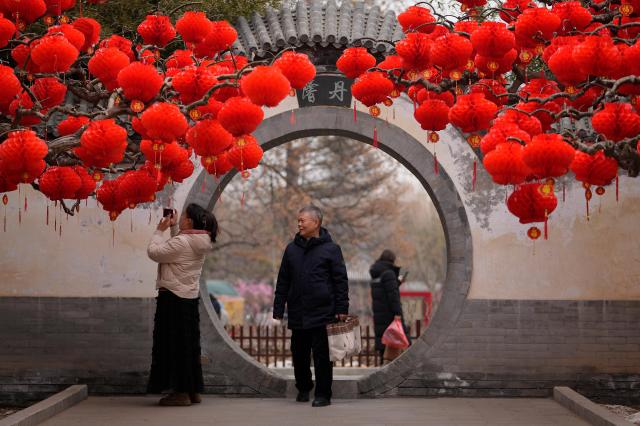 중국 최대 명절인 춘제 연휴를 앞두고 시민들이 지난 4일 베이징 지단 공원에서 홍등으로 장식된 나무를 찍고 있다 사진연합뉴스