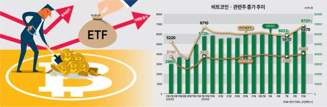 [뉴스플러스] 비트코인 28개월 만에 5만 달러 돌파… 관련株도 덩달아 강세