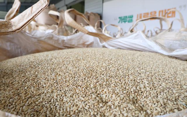 충남 부여군 임천면 한 벼 보관창고에 수확한 가루쌀 포대가 쌓여 있다사진연합뉴스
