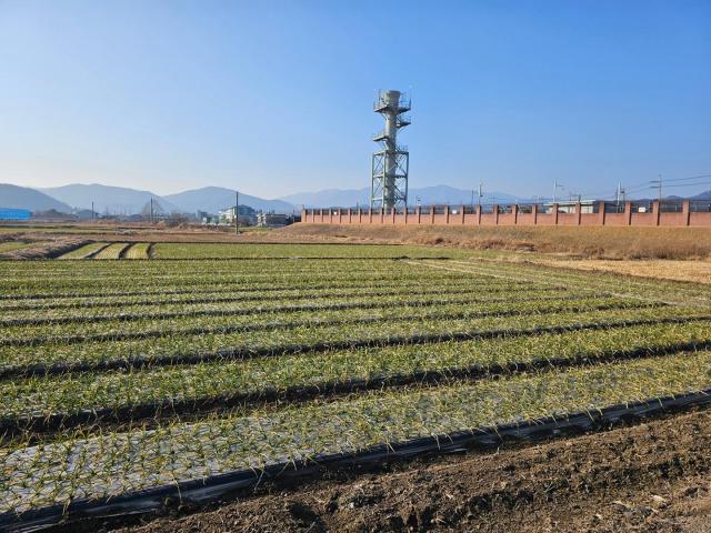 풍각지구 배수개선사업의 대상지인 풍각면 송서리 전경사진청도군