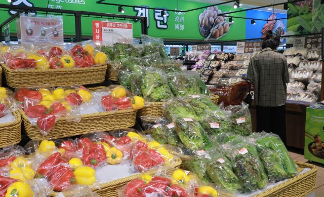 2月の韓国物価3.1%↑···果物・石油類の価格上昇に1ヵ月ぶりに再び3%台へ