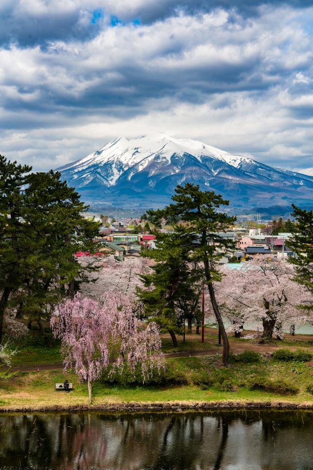 이와키산을 배경으로 한 일본 아오모리현 히로사키시사진게티이미지뱅크