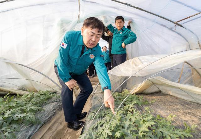 김관영 전북특별자치도지사가 지난해 수해피해를 입은 익산시 용안면 비닐하우스를 찾아 농작물 재배현황을 살펴보고 있다사진전북특별자치도