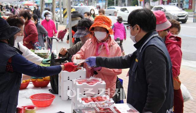 대구농협은 오는 15일부터 24년도 대구농협 금요직거래장터를 개장한다 사진대구농협