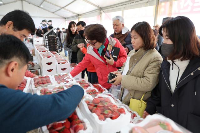 지난해 3월 2023 논산 딸기축제를 찾은 관광객이 갓 수확된 논산 딸기를 구매하고 있다 사진논산문화관광재단